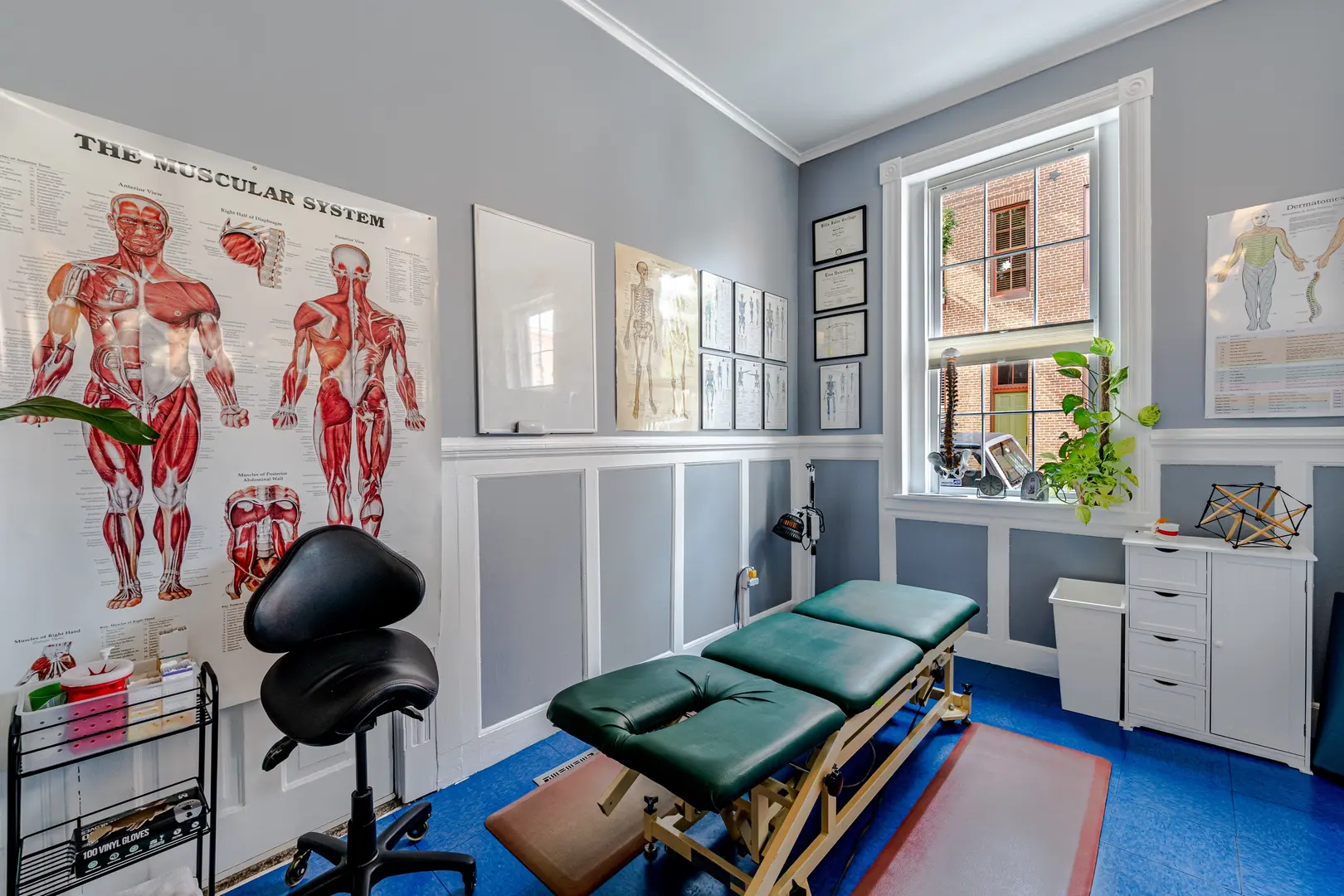 A professional therapy room with a treatment table, anatomical charts, exercise equipment, and natural lighting from large windows
